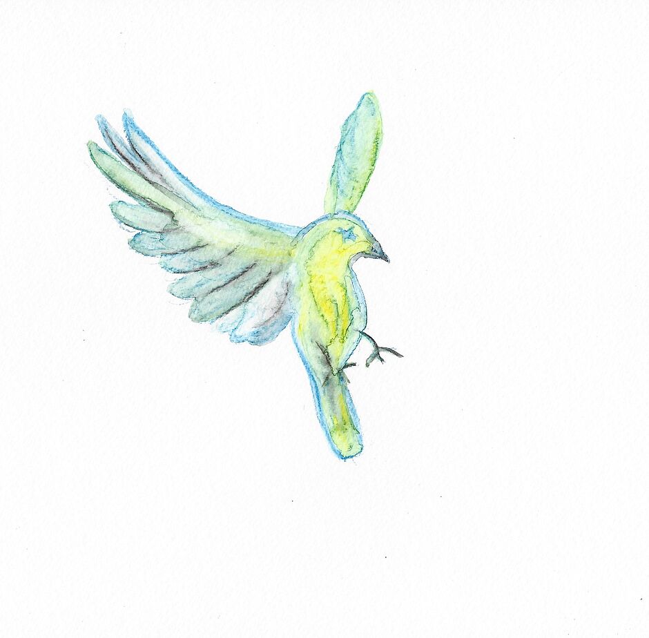 Agrandir l'image (fenêtre modale)